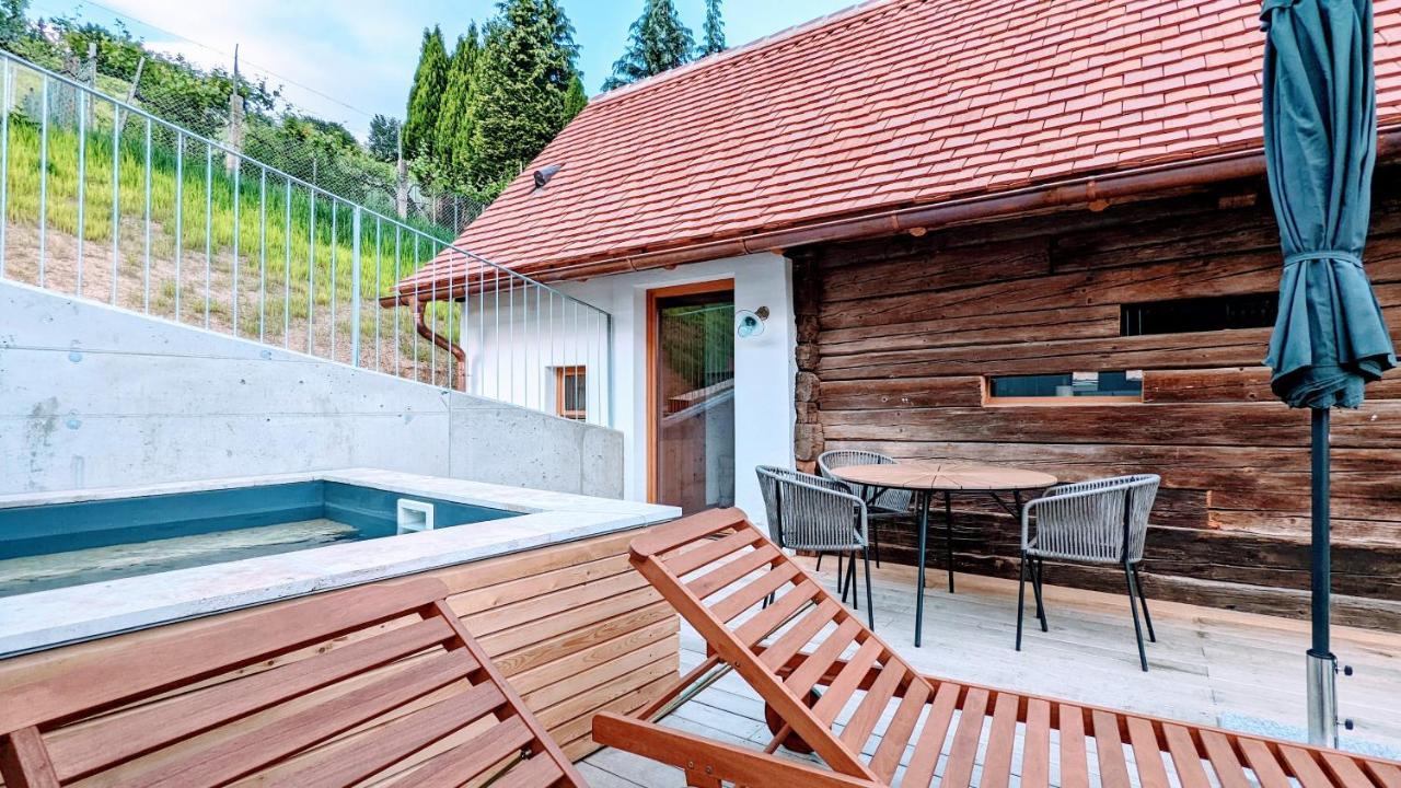 Diekellerstoeckl - Das Rosenstoeckl S22 Mit Mini-Pool Штайнц Экстерьер фото